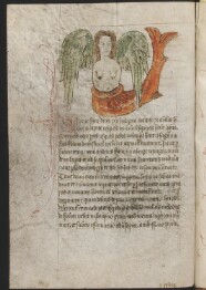 Havfrue fra en latinsk dyrebog i et manuskript fra England (1400-tallet). Hele manuskriptet findes online
